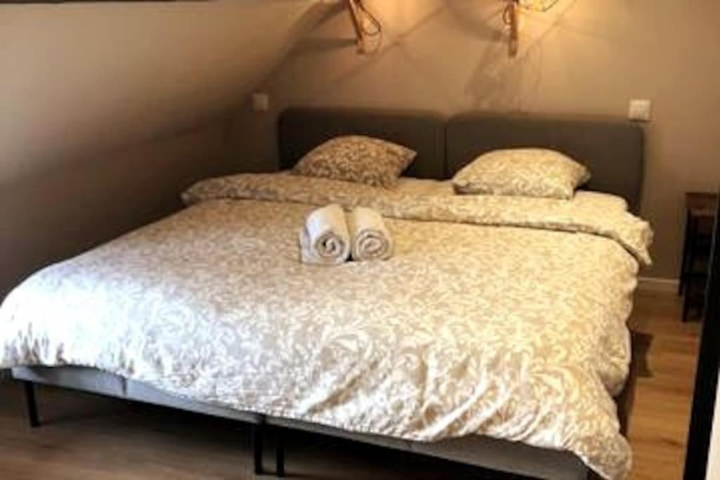 B'm Gretel - Appt Duplex 4 Pers - Vue Cathedrale Apartment Colmar