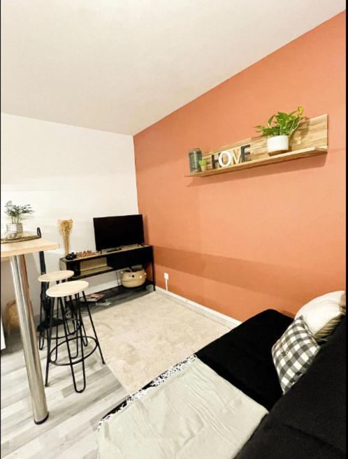 Centre-ville Petite Venise Apartment Colmar