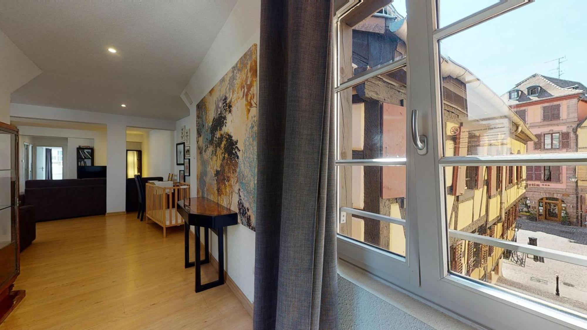 Apartment Colmarappart Grand Rue