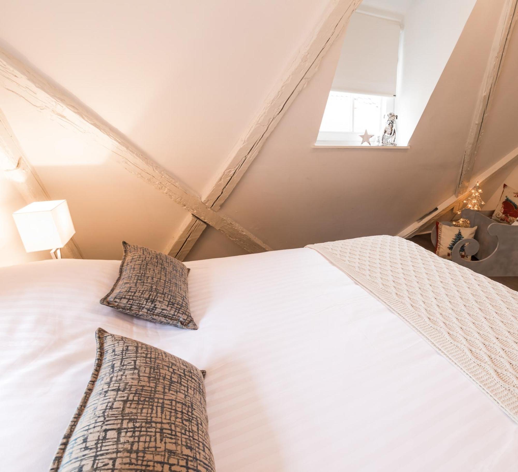 My Sweet Homes - La Grenouillere Hypercentre Appartement Colmar