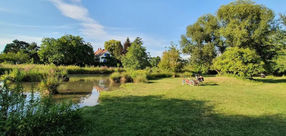 Maison 140m2 Au Calme - Beau Jardin - A 15mn A Pied Du Centre-ville De Ferienhaus Colmar