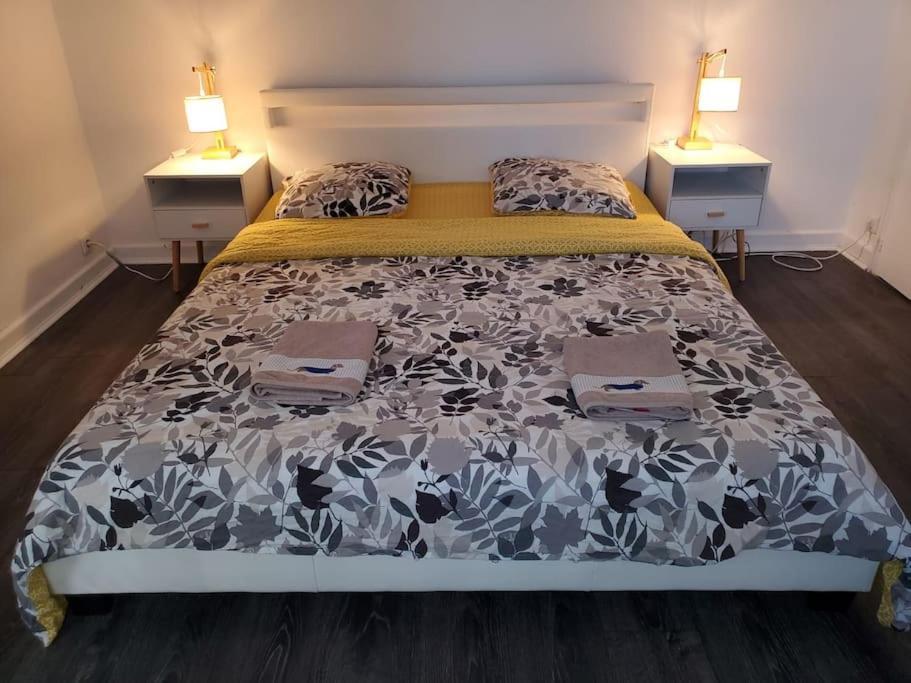 Appartement Le Reve Sauna Ecran Cinema Colmar