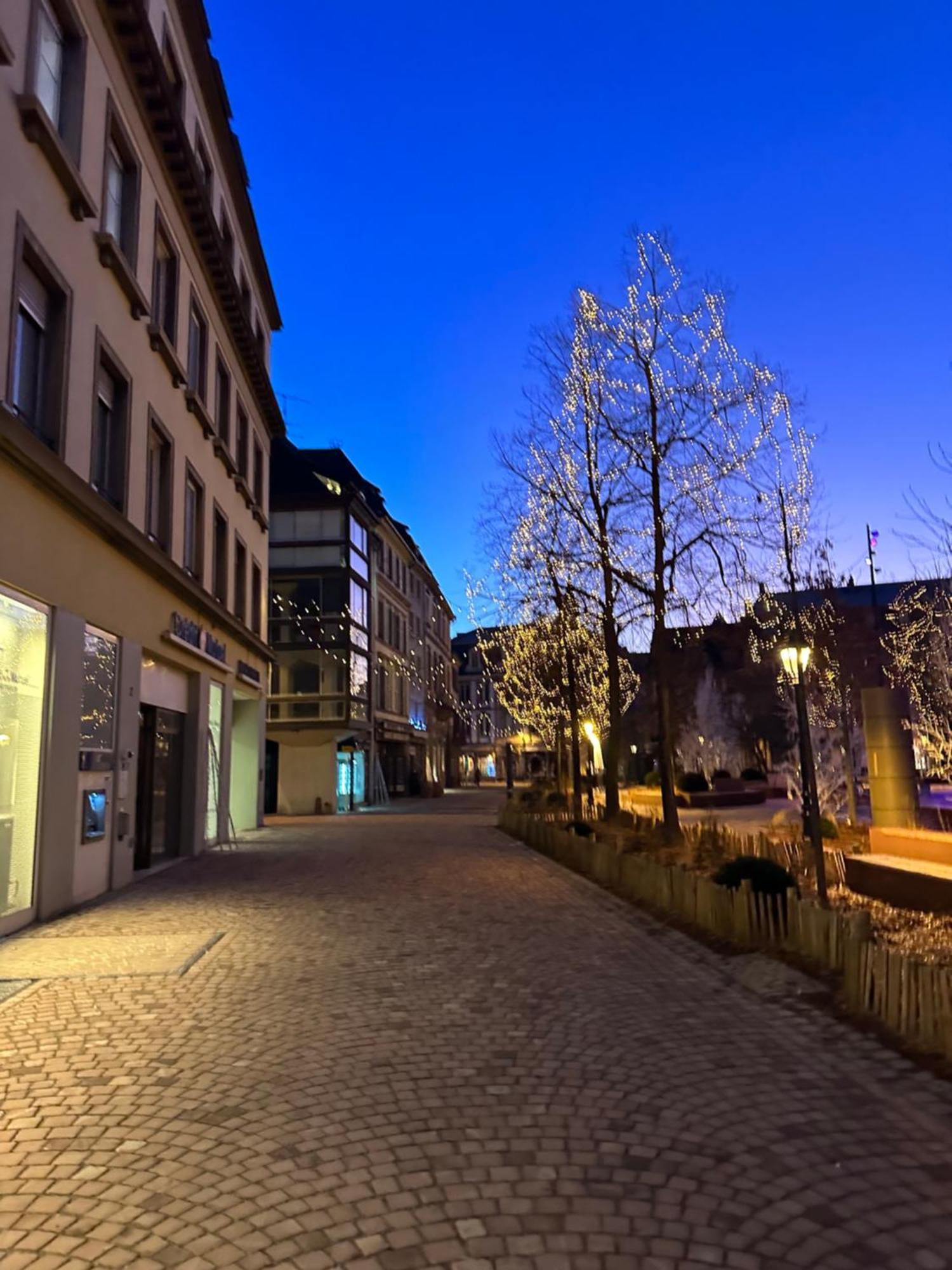 Le Muscat * Colmar