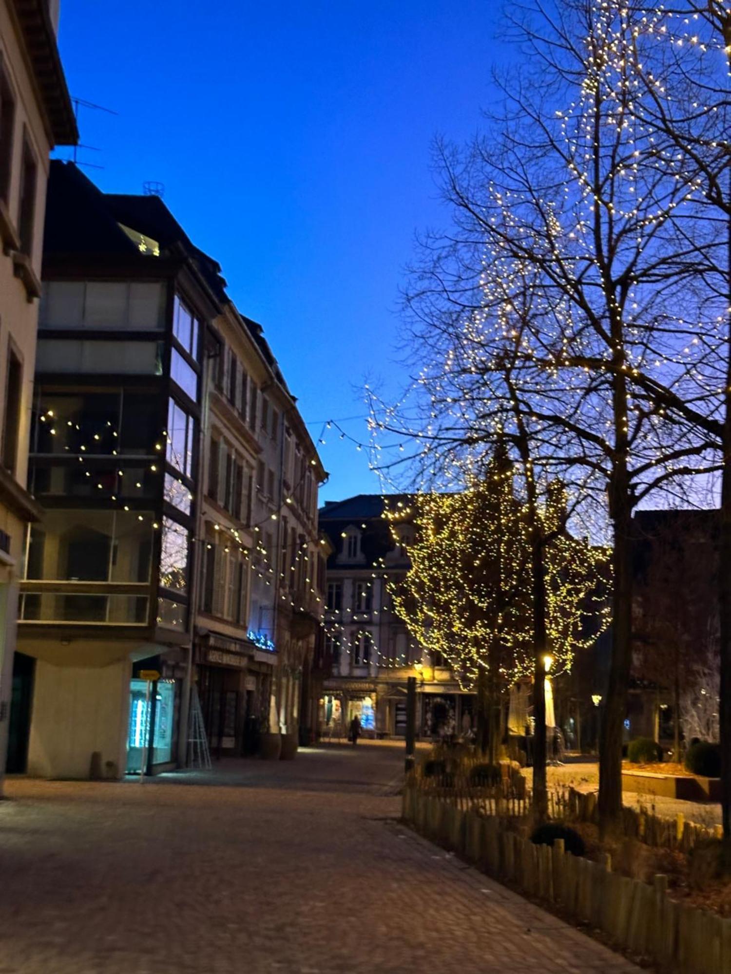 Le Muscat Colmar