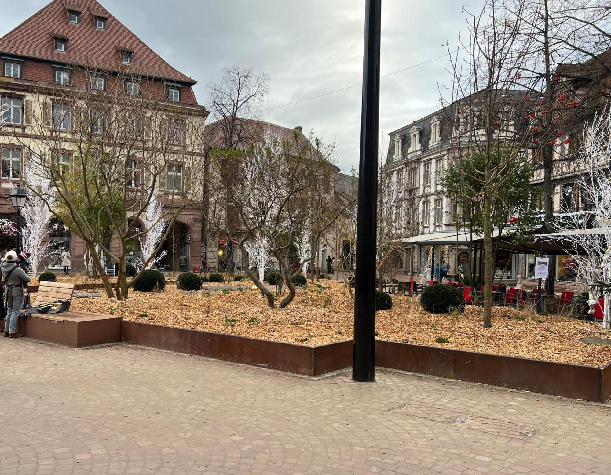 Appartement Le Muscat Colmar