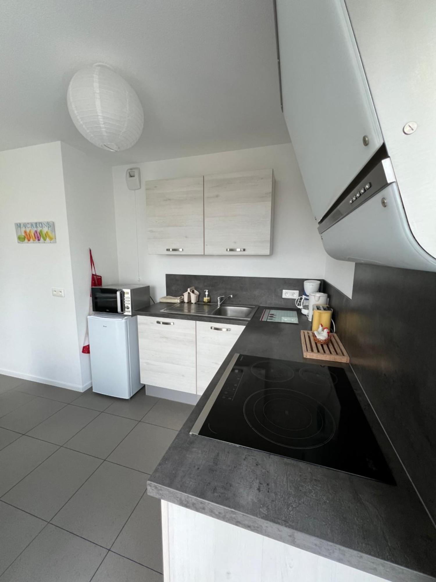 Appartement L'appart' Des Maraichers - Au Calme - Terrasse & Garage Colmar