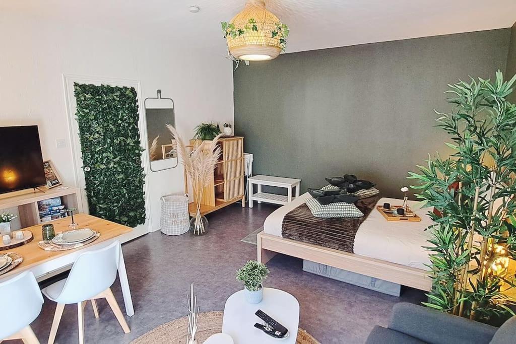 Appartement Petit Cocon Nature Centre-ville *