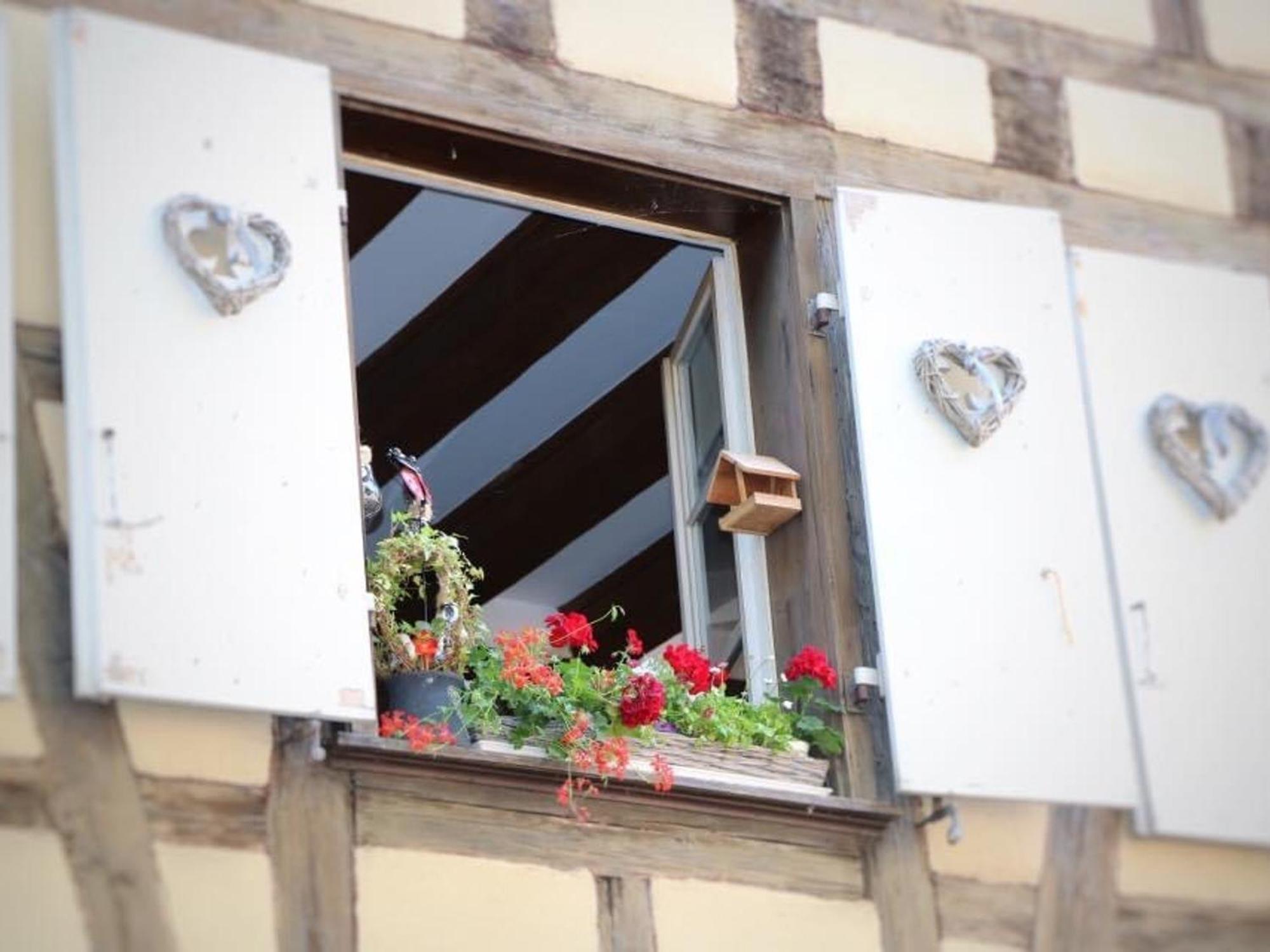 Charmant En Hyper Centre De Avec 2 Et Wi-fi - Fr-1-722-4 * Colmar