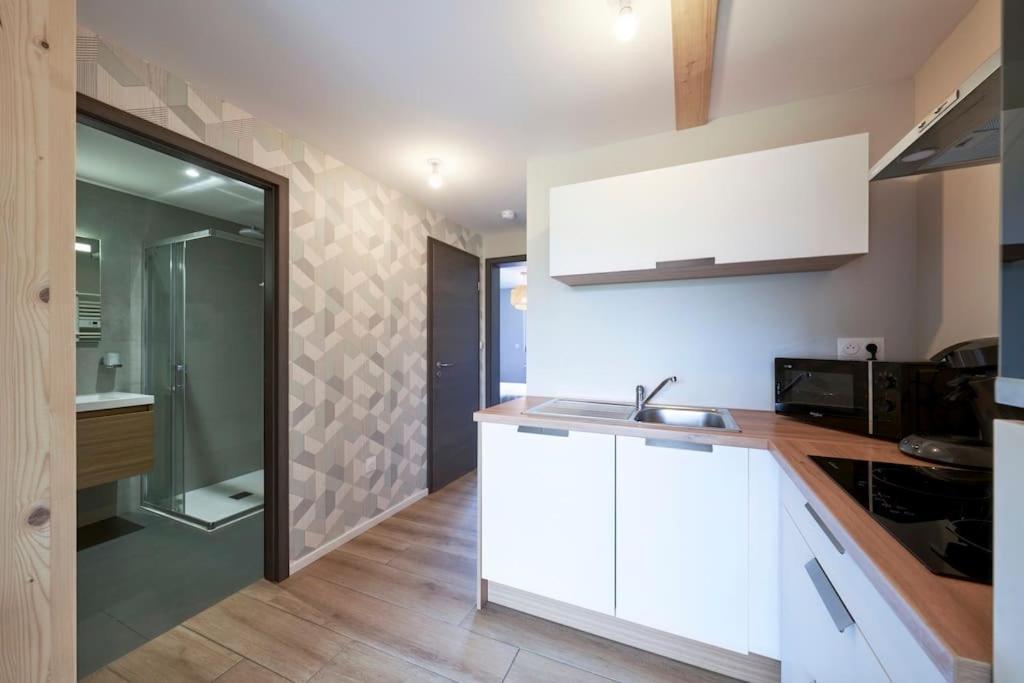 Le Scandinave Centre Ville/2 + Terrasse Appartement