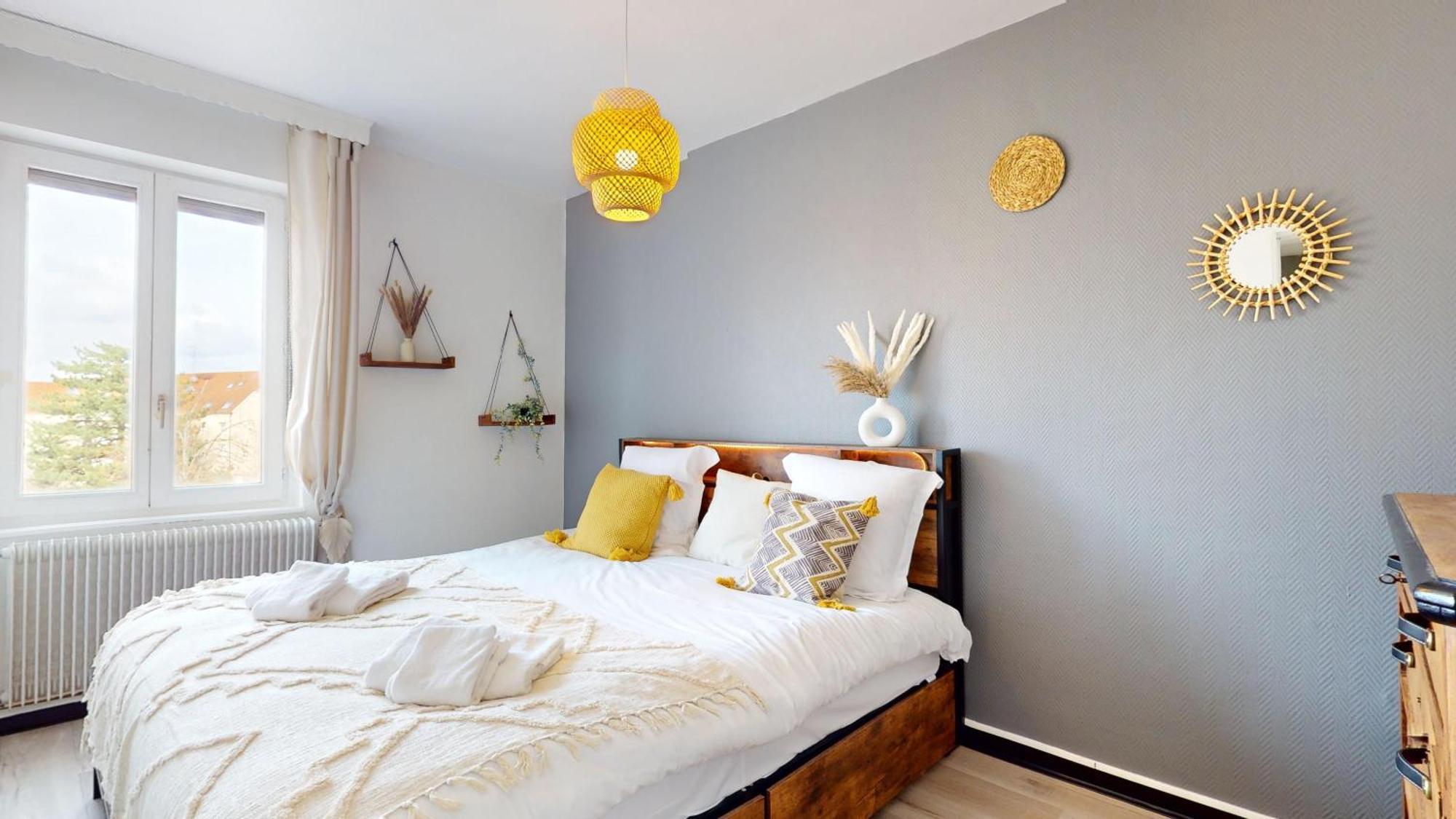 L'alsacienne Appartement