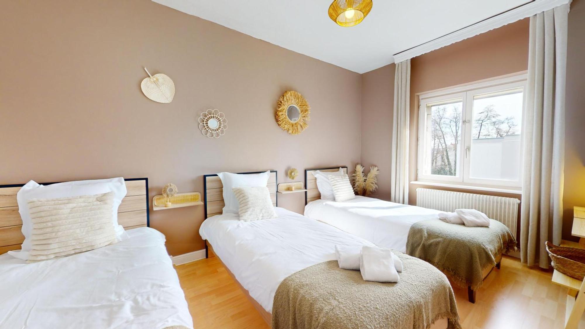 L'alsacienne Appartement