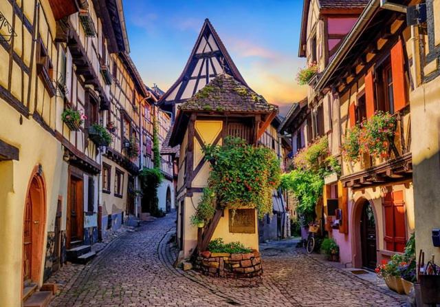 Le Marcellin - Garage - Terrasse Colmar
