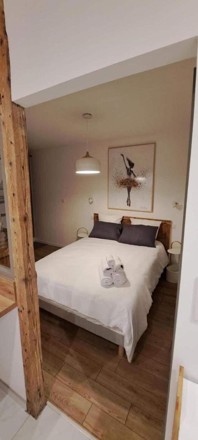 Les Logis De Bartholdi Appartement Colmar