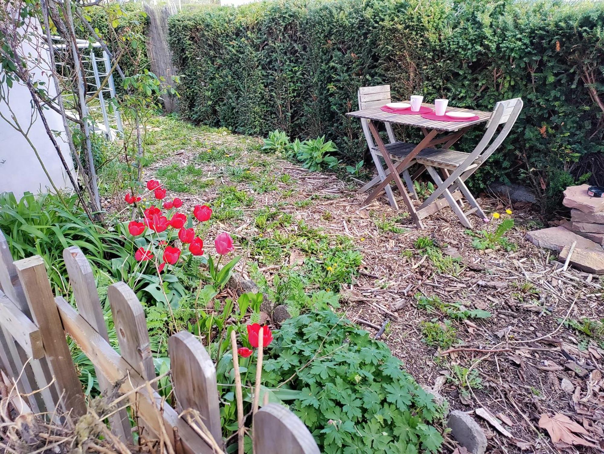 Les Coquelicots Appartement *