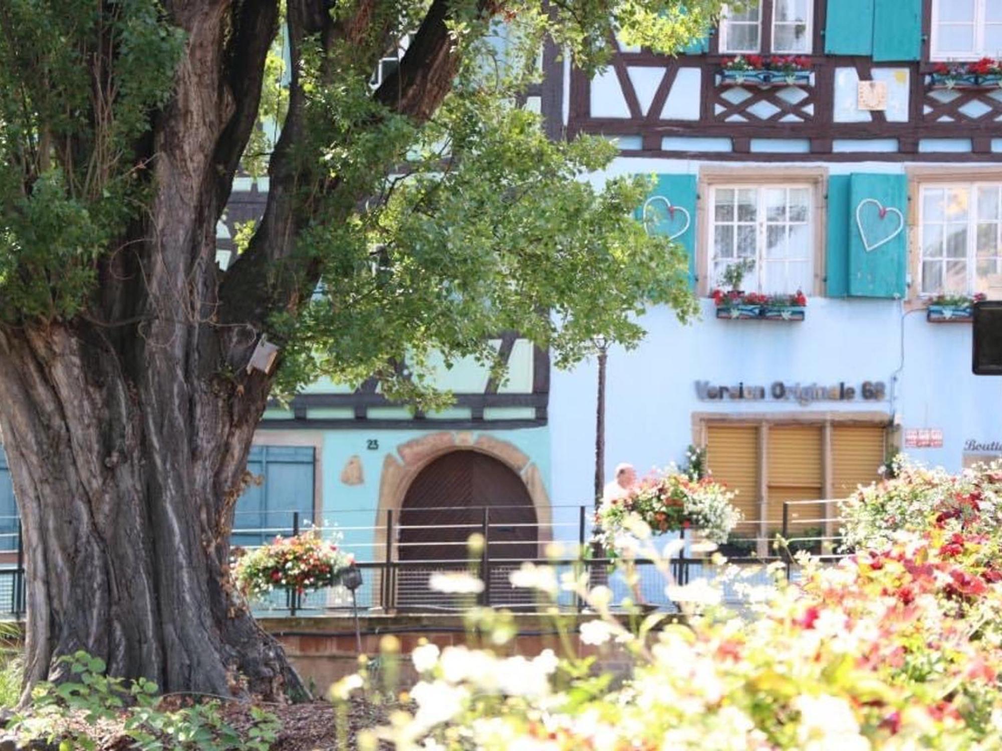 Appartement Renove Pres Du Centre De Avec Balcon, 2 Et Wi-fi Inclus - Fr-1-722-7 Colmar