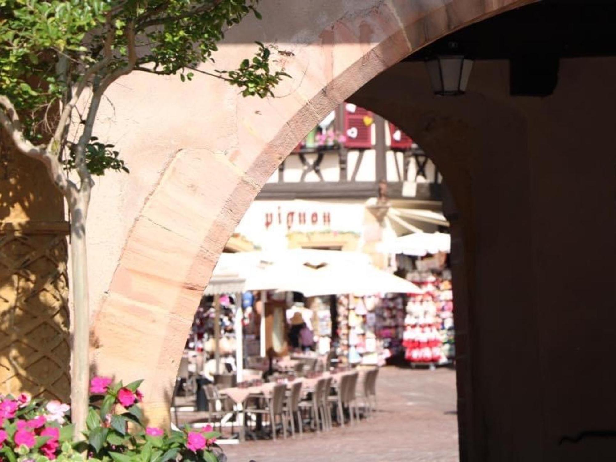 Avec Garage Et Terrasse Au Coeur De Colmar, Pres De La Route Des Vins D'alsace - Fr-1-722-6 Apartment *