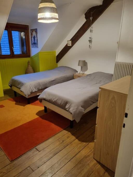 Centre-ville Appartement Colmar