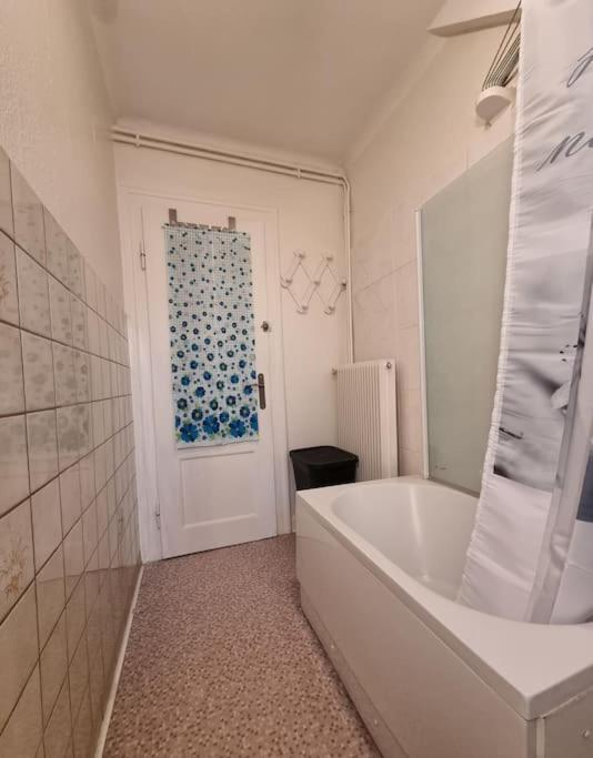 Centre-ville Appartement Colmar