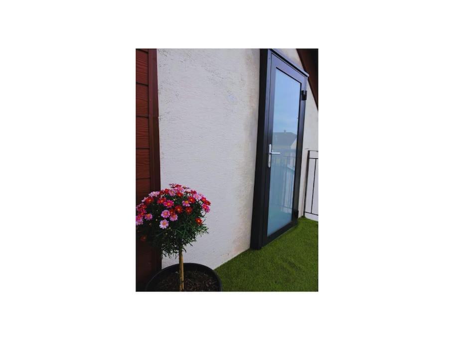 Appartement Cosy Proche Centre