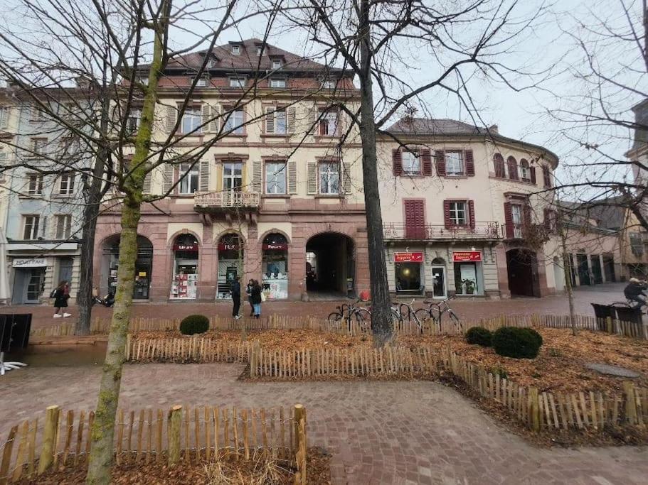 Appartement Studio Saint Martin Colmar