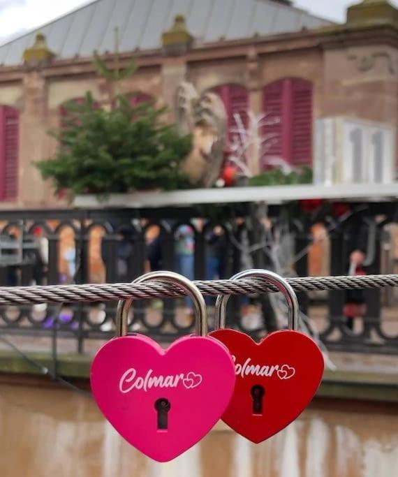 Travail, Chill Et Visite Au Centre De Colmar! Appartement Colmar