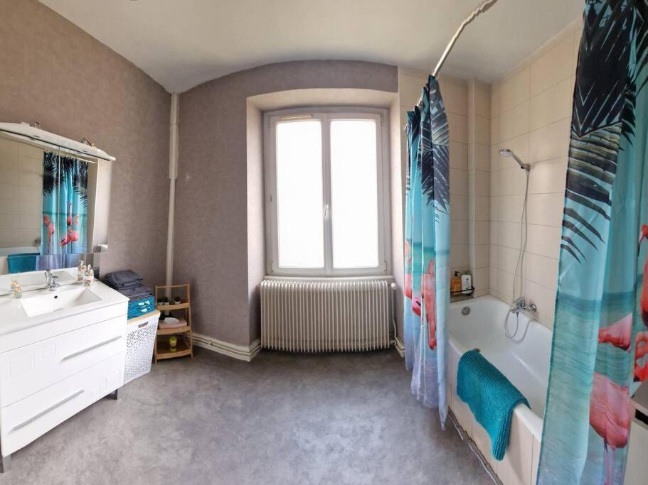Appartement Travail, Chill Et Visite Au Centre De Colmar! Colmar