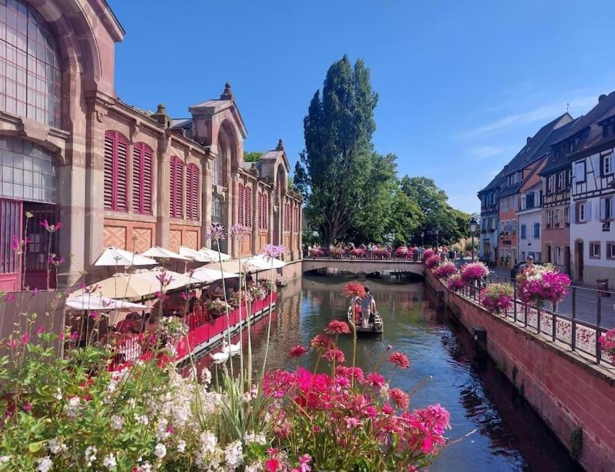 Travail, Chill Et Visite Au Centre De Colmar!
