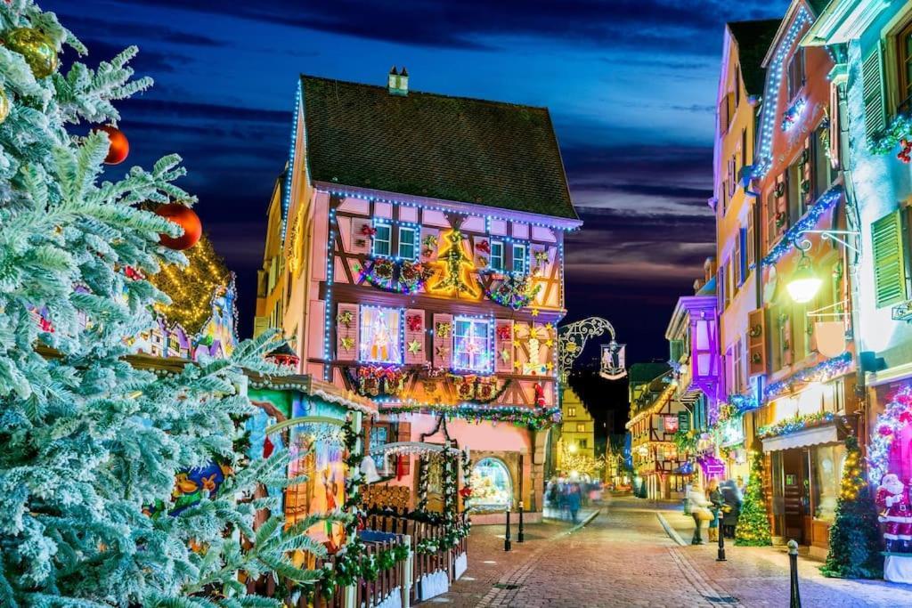 Appartement Travail, Chill Et Visite Au Centre De Colmar! Colmar