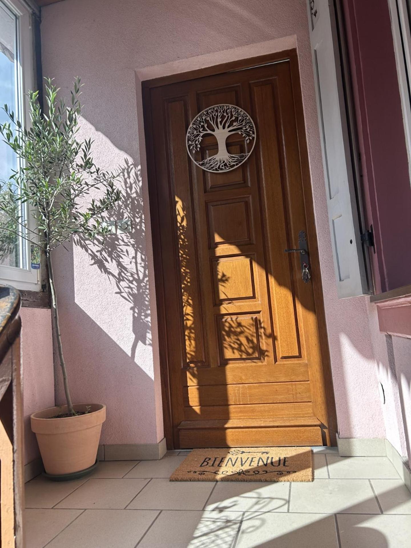 Le Petit Coin Des Oliviers Apartment Colmar