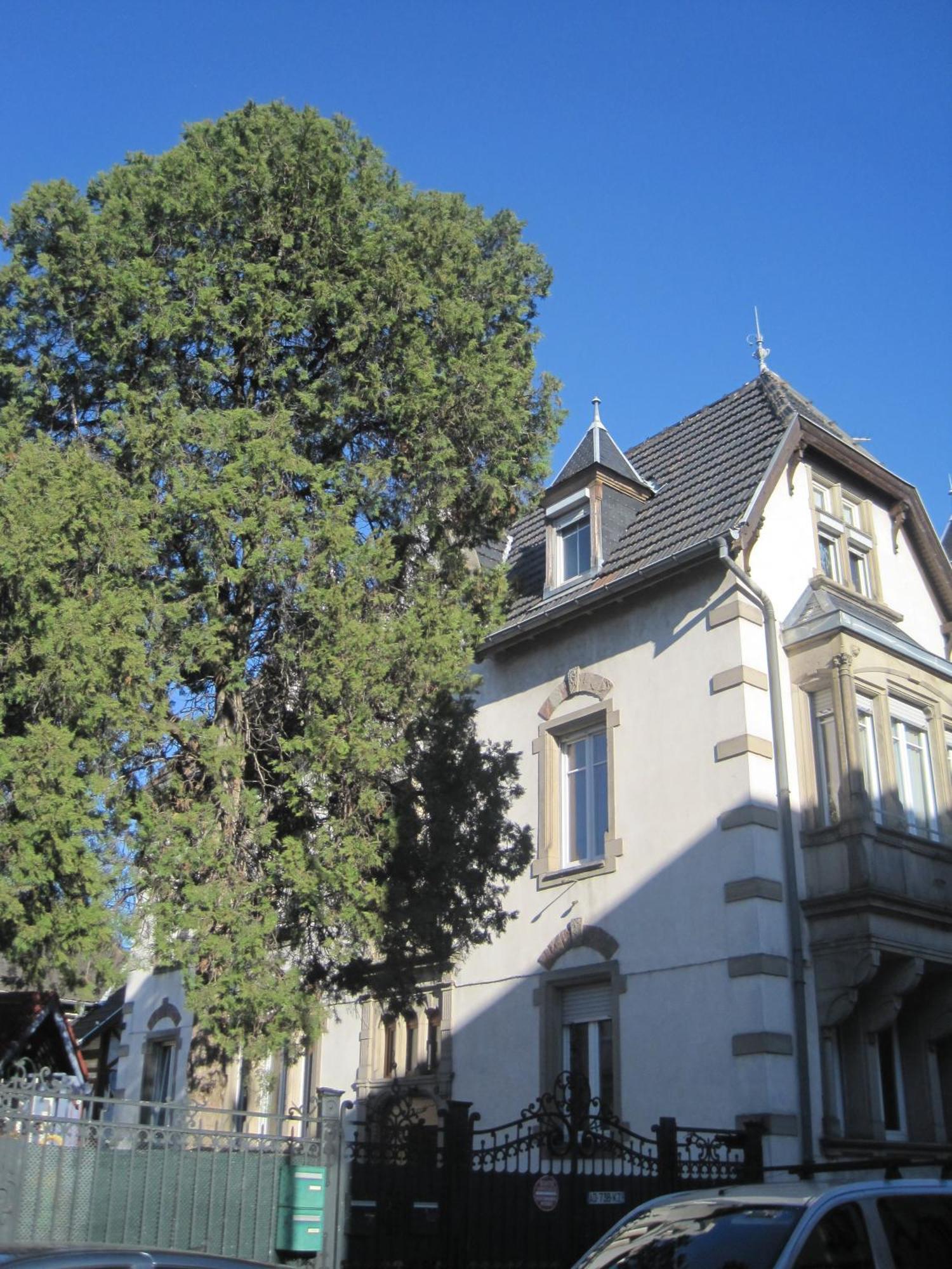 Appartement Centre Le 4