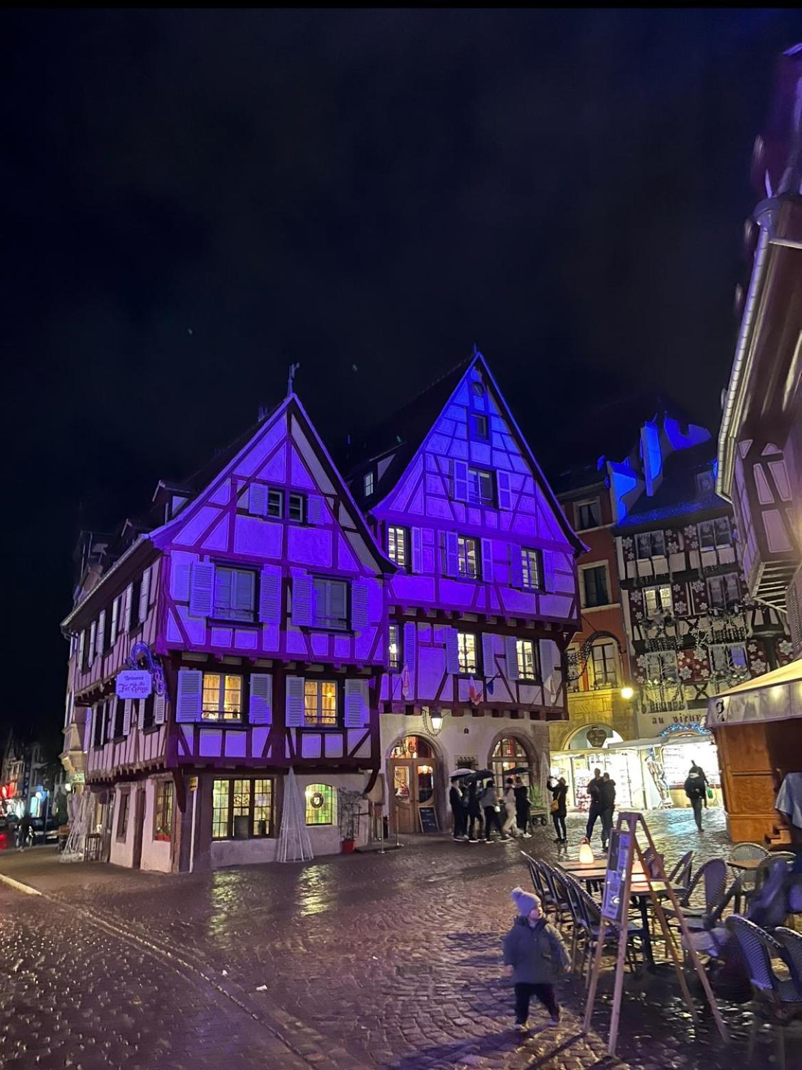 Le Venise, Parking Prive, Neuf & Spacieux Apartment Colmar