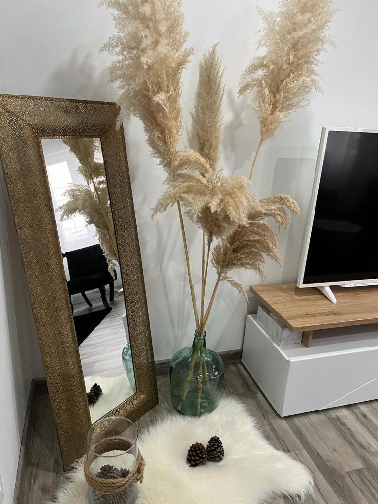 Appartement Colmar,appart Chaleureux 2 Pas Centre Avec Jardin
