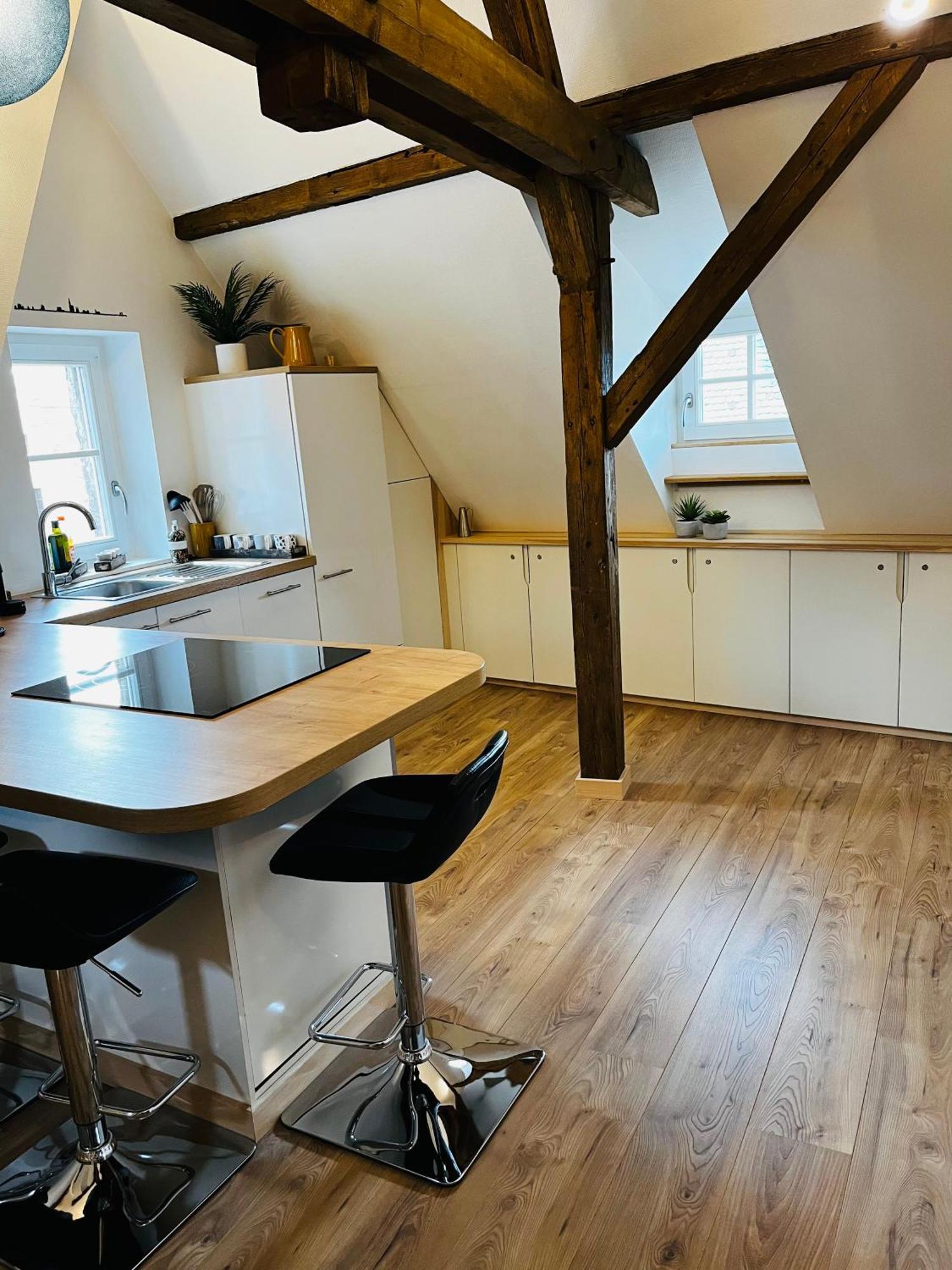 Apartment Le Loft Colmar
