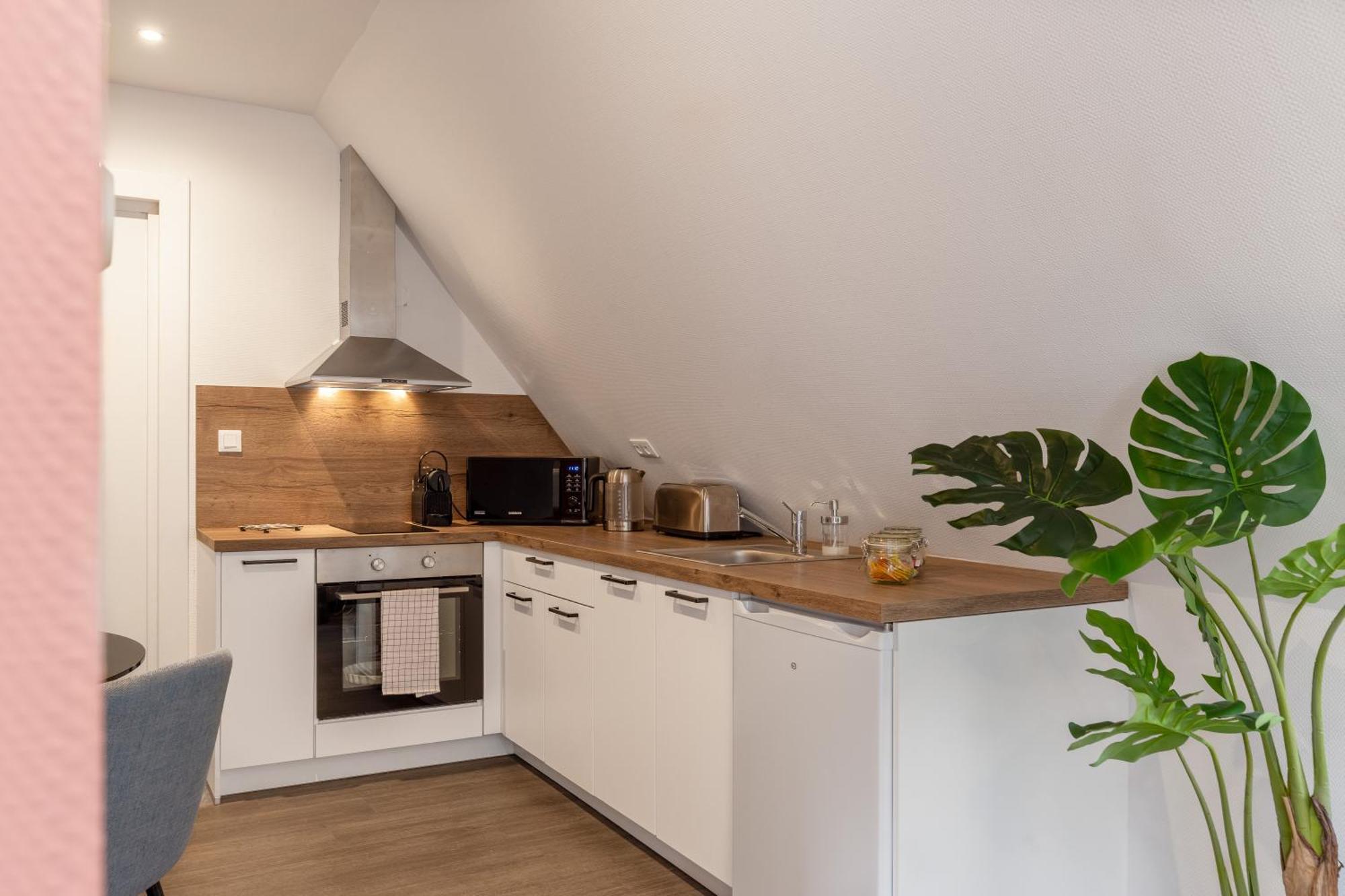 Appart hôtel Travel Homes - Rapp, Charm In The Heart Of Colmar