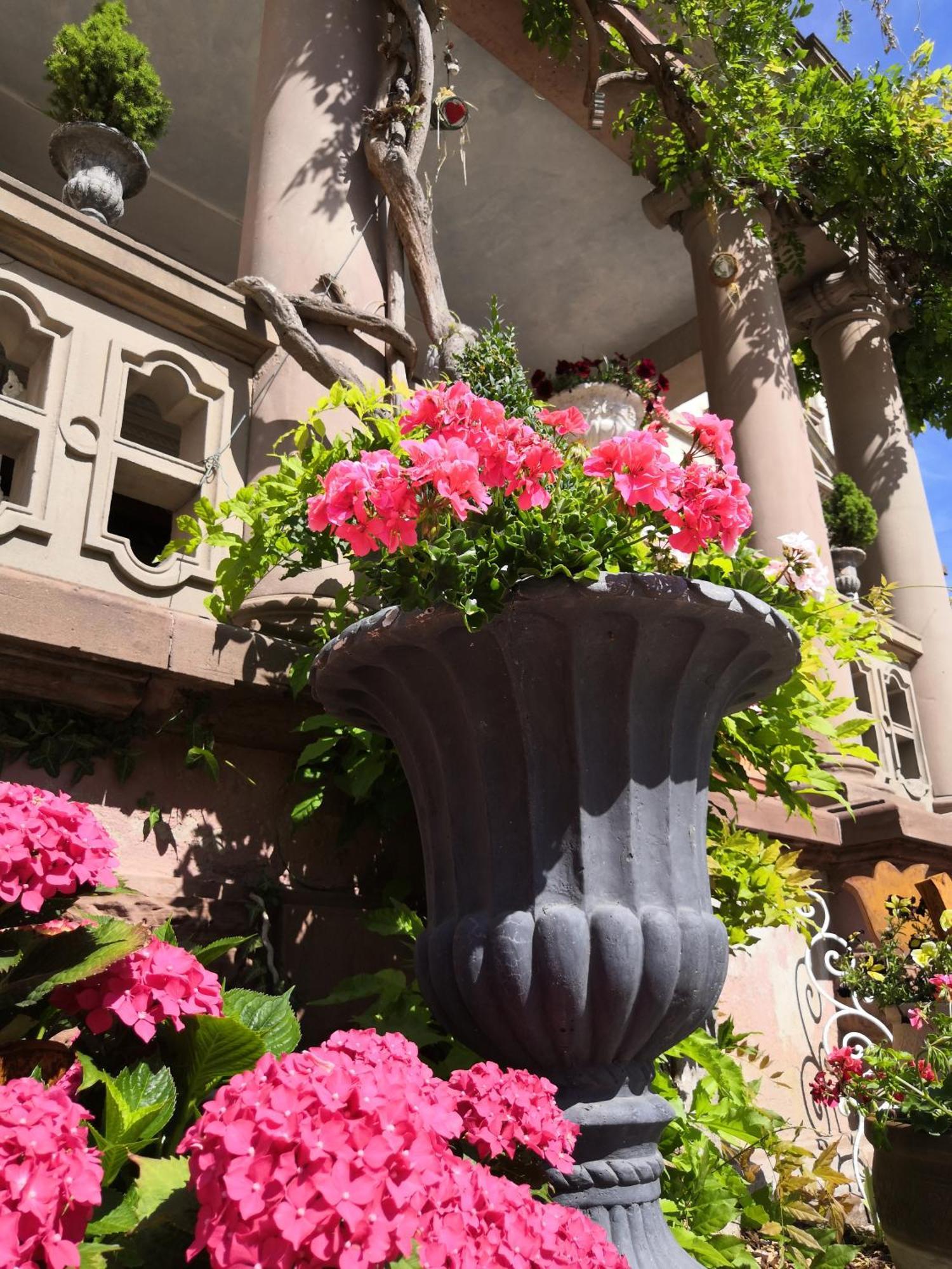 Castelnau Guest house