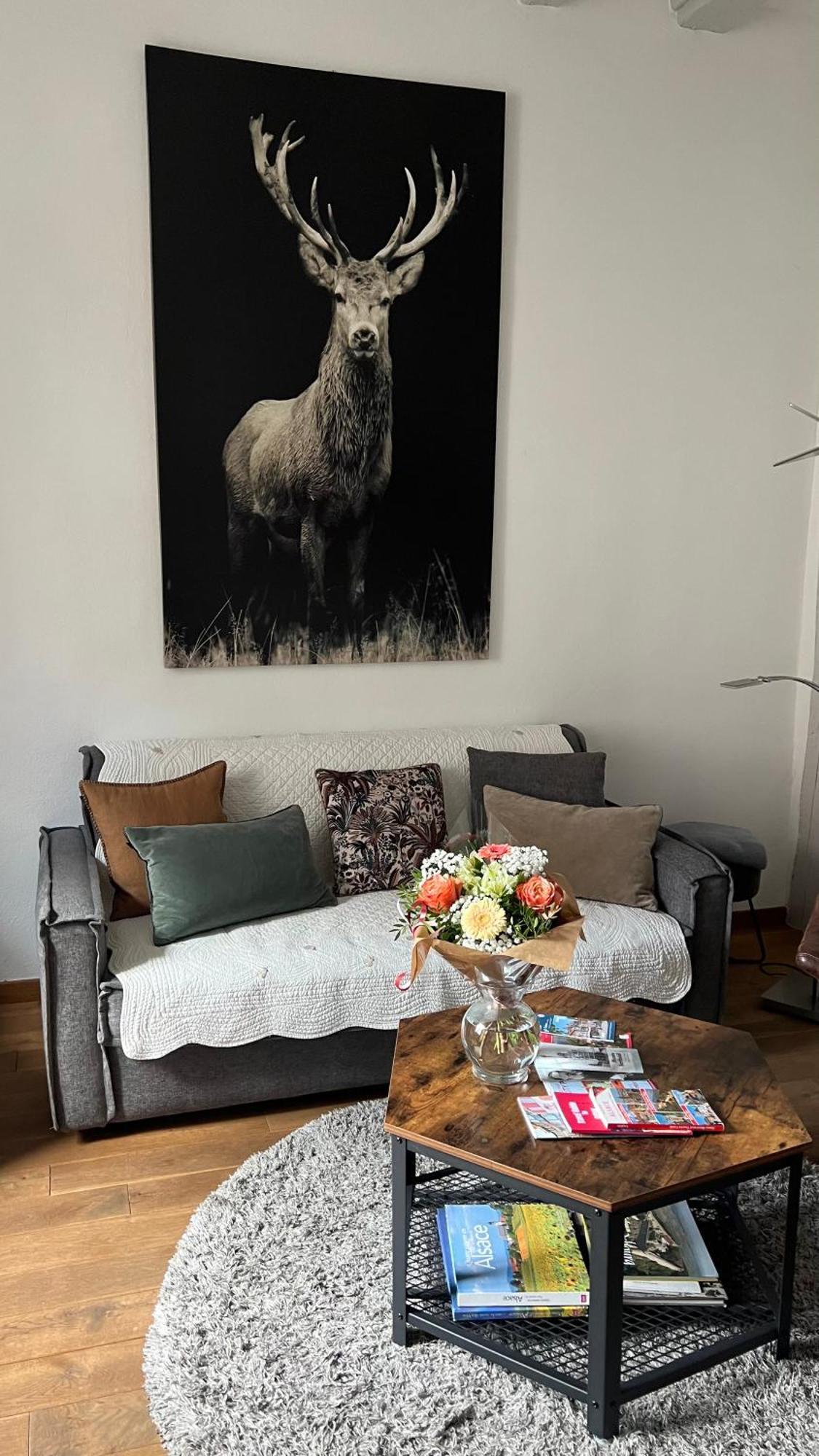 Appartement Bi Uns Chez Silvana Colmar