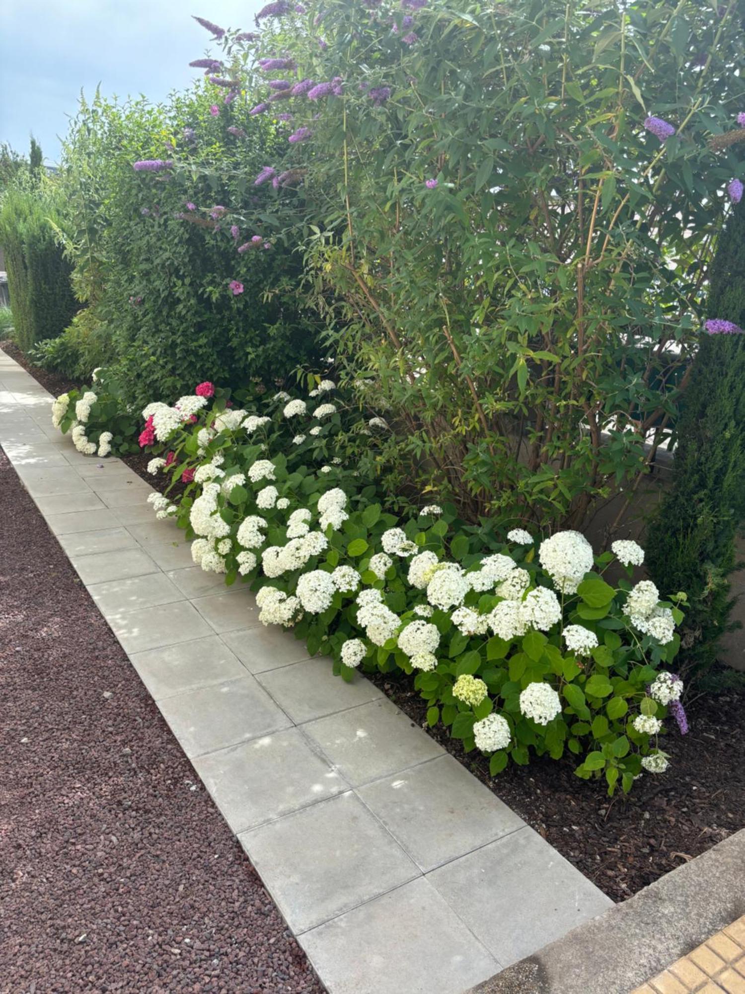 Apartment De Prestige Au Centre Climatise Avec Jardin Prive