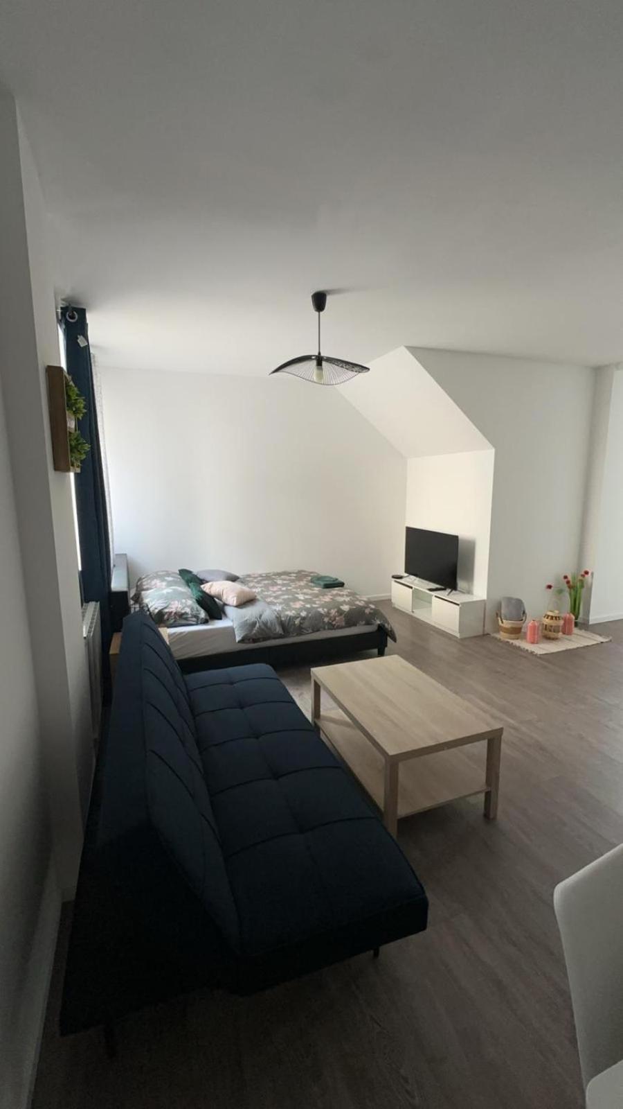 La Colmarienne Apartment *