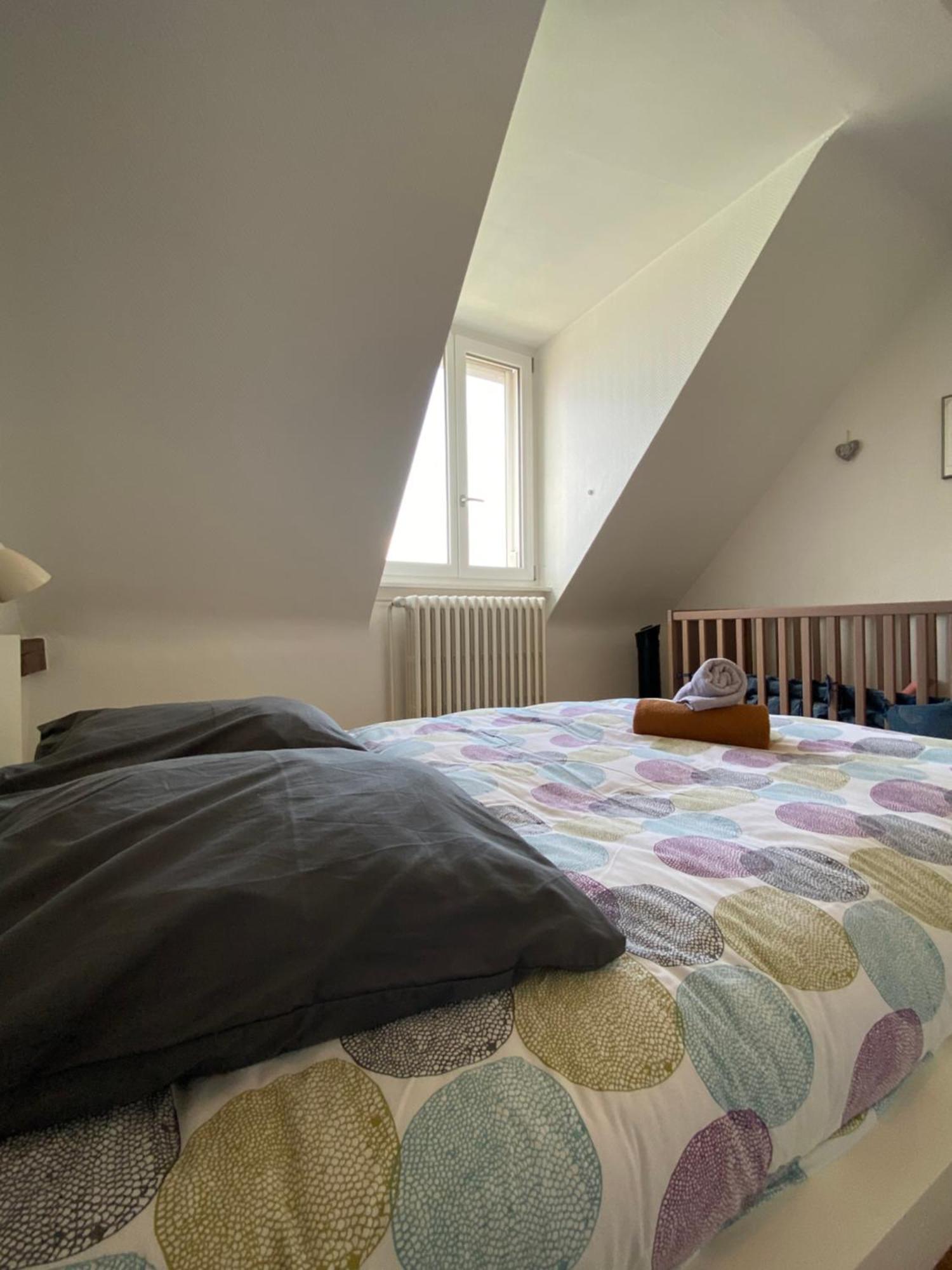 Bookingalsace - Maison Mittelharth Parking Jardin * Colmar