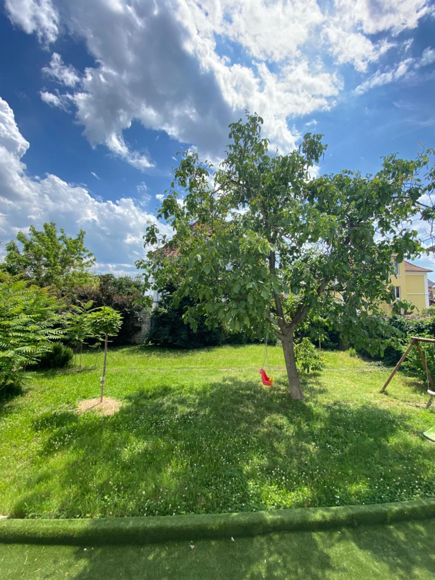 Casa vacanze Bookingalsace - Maison Mittelharth Parking Jardin *