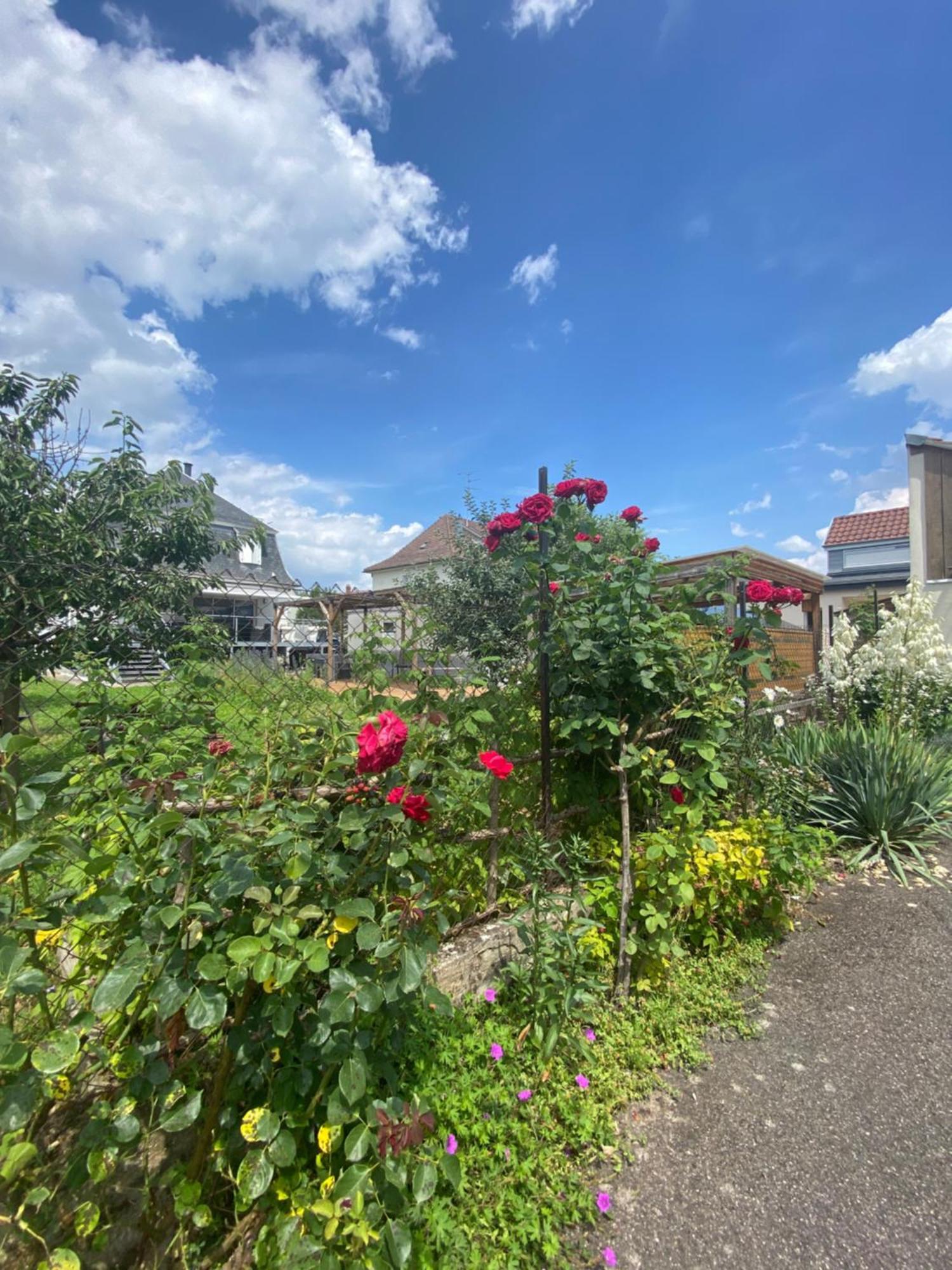 Bookingalsace - Maison Mittelharth Parking Jardin Casa vacanze Colmar