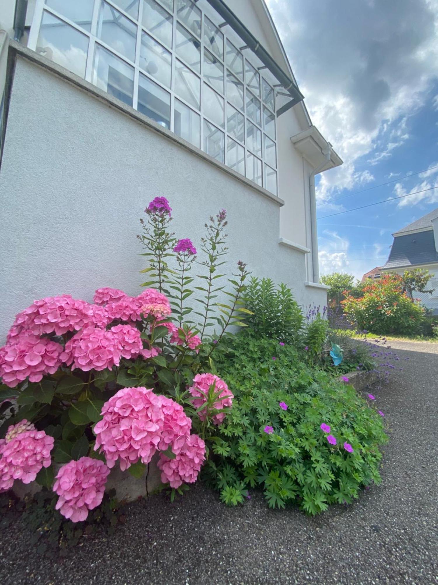 Bookingalsace - Maison Mittelharth Parking Jardin * Colmar