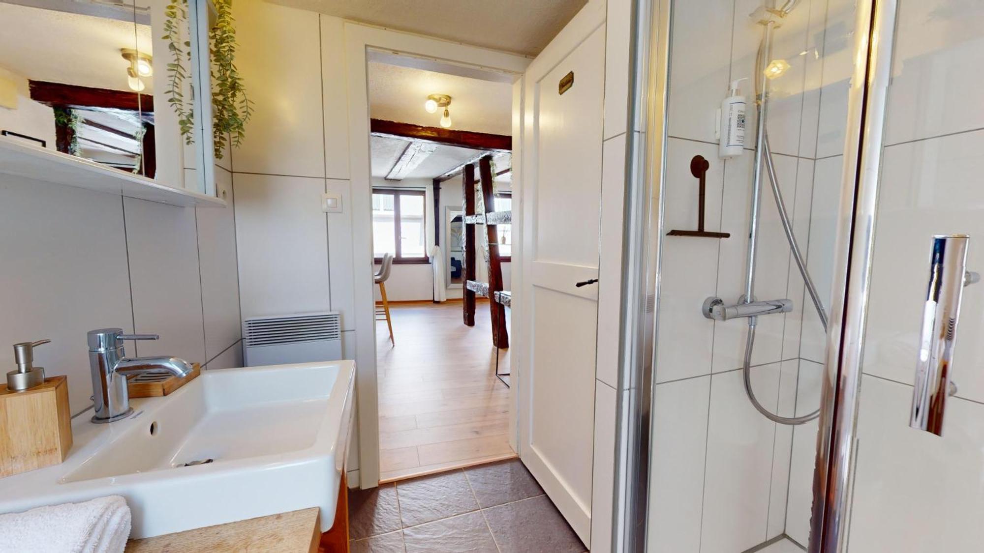 Appartement Au Petit Vauban 2 & Parking