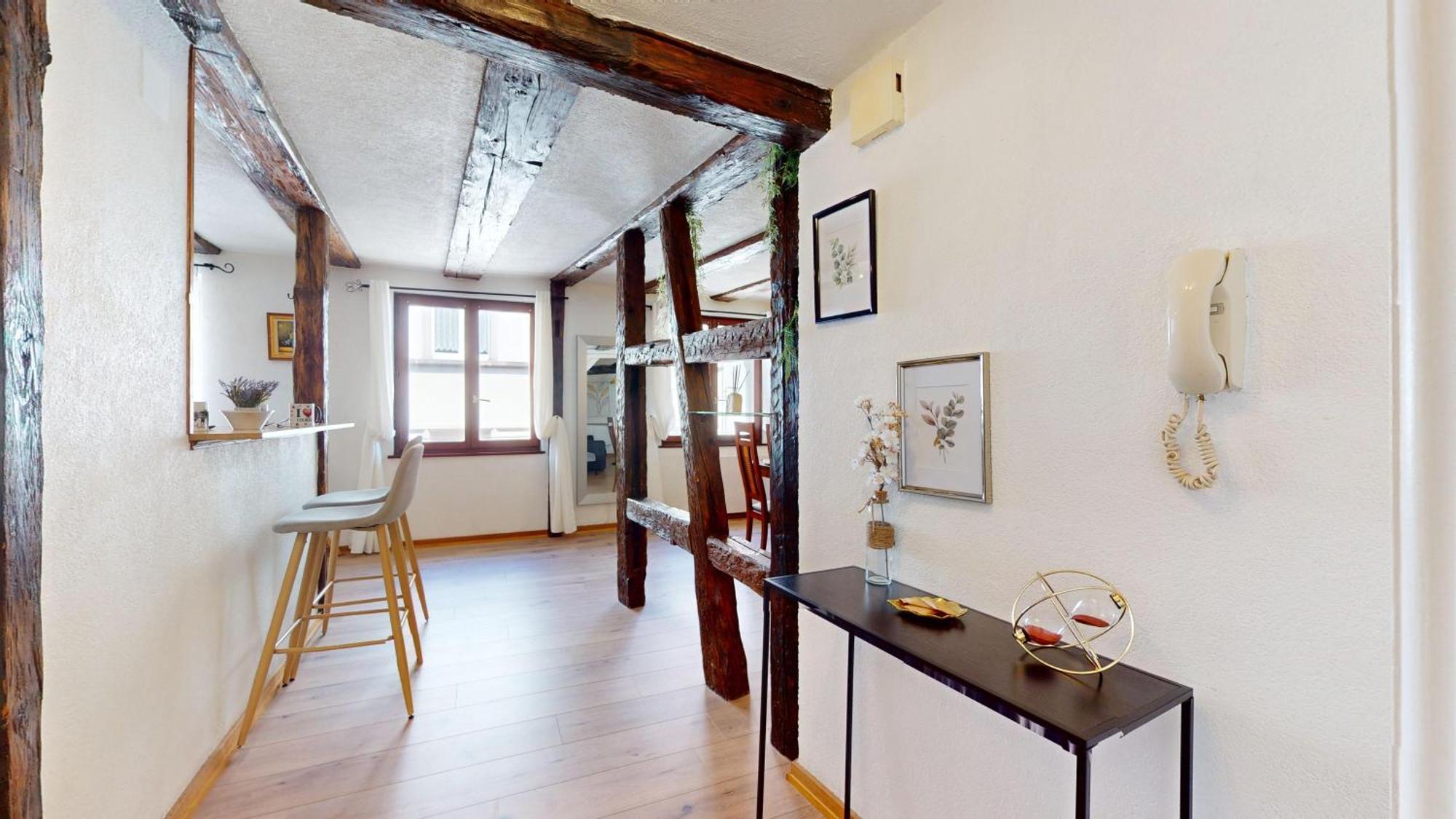 Au Petit Vauban 2 & Parking Appartement Colmar