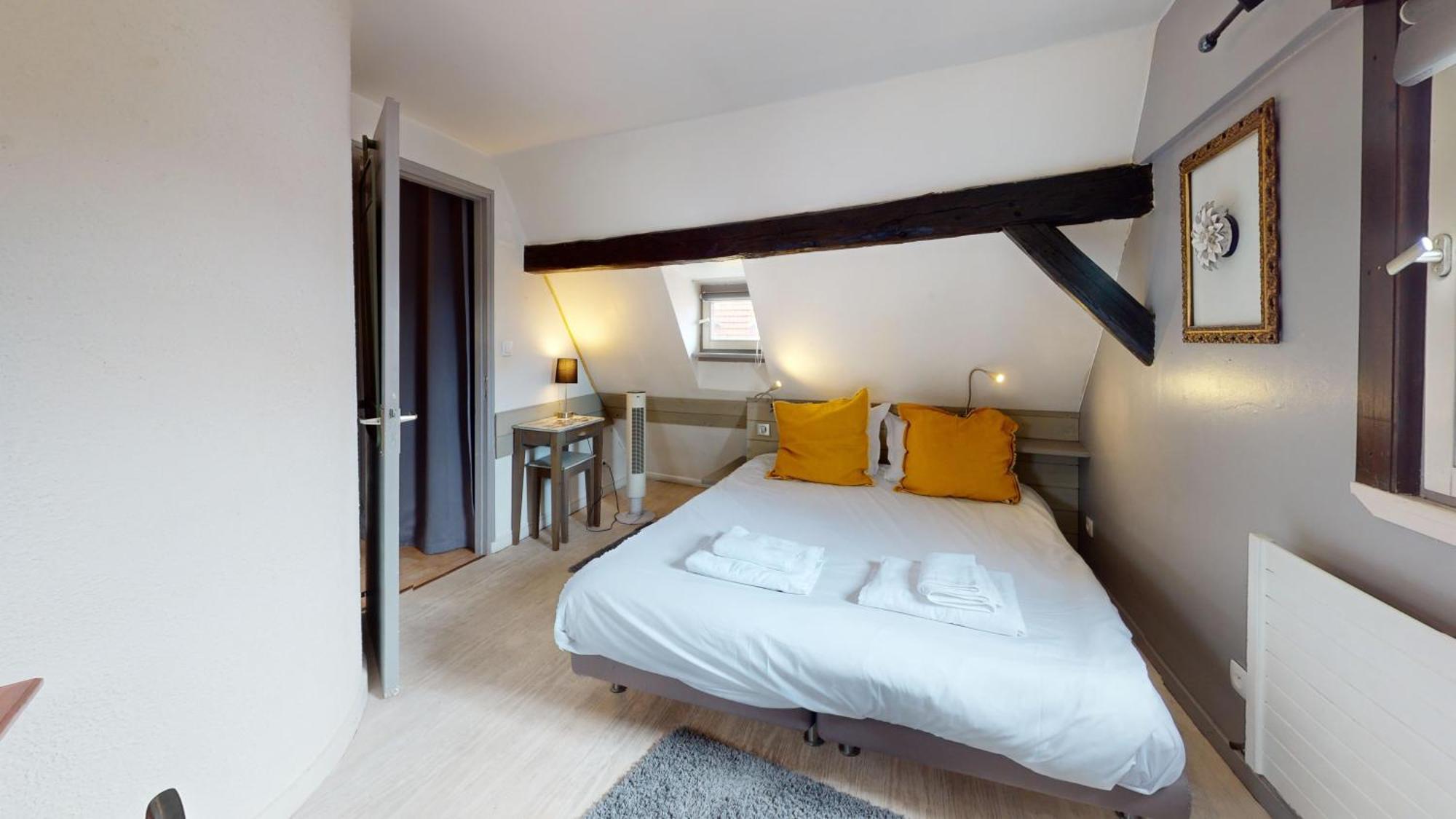 Appartement La Grande Ourse Colmar