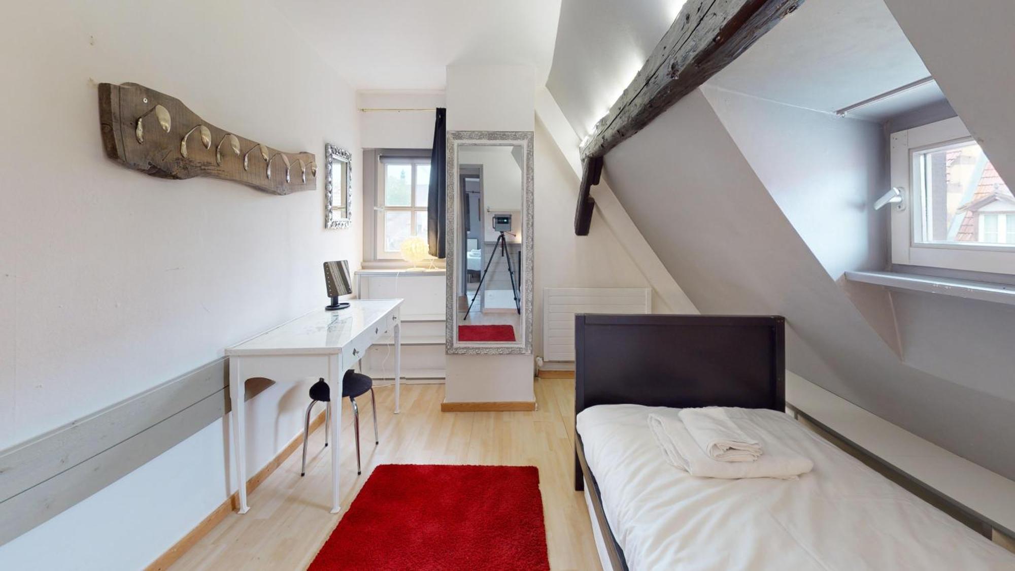 La Grande Ourse Appartement Colmar
