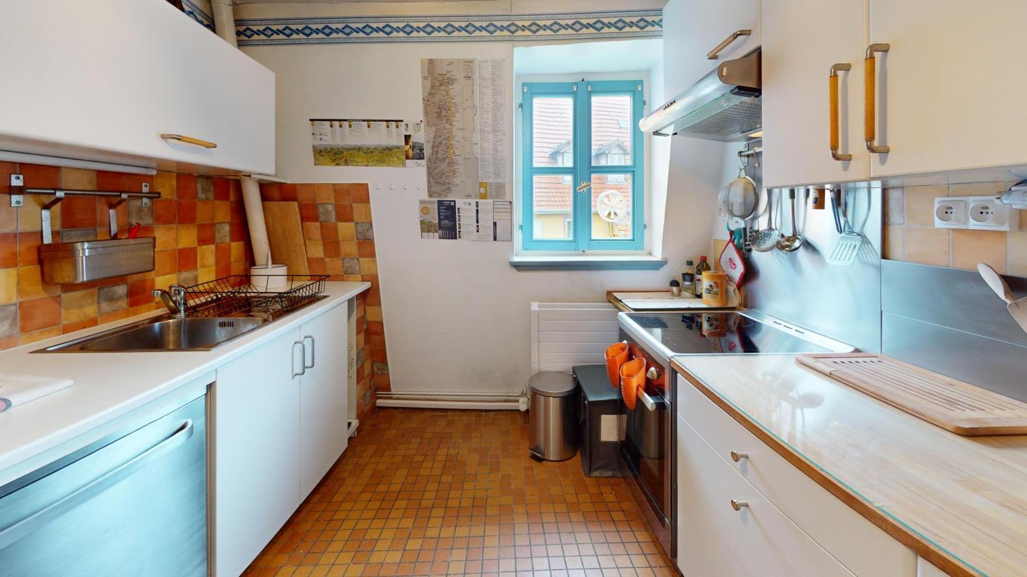 La Grande Ourse Appartement Colmar