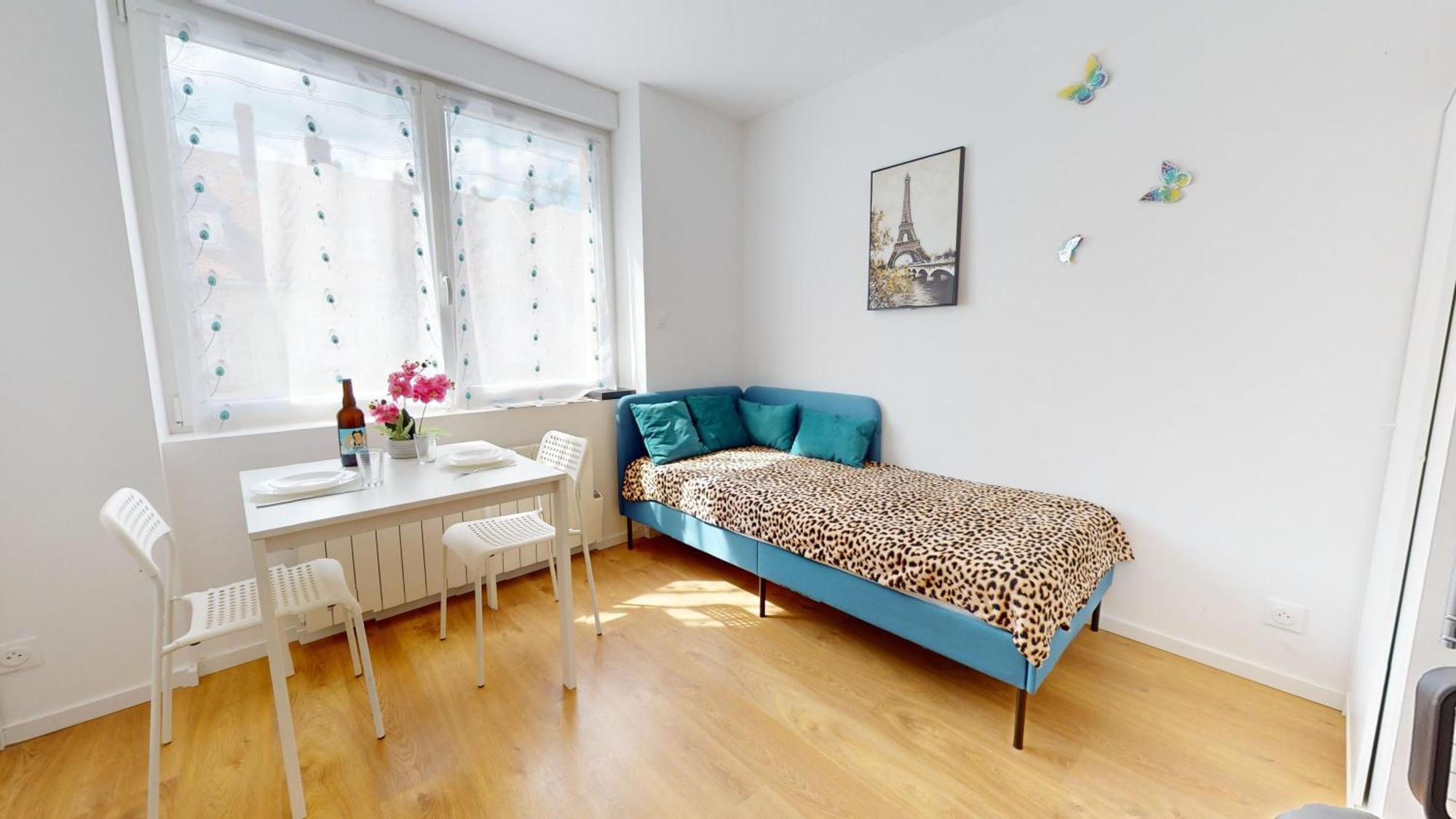 Appartement Le Charme Colmarien - 2 Pieces Au Coeur De La *