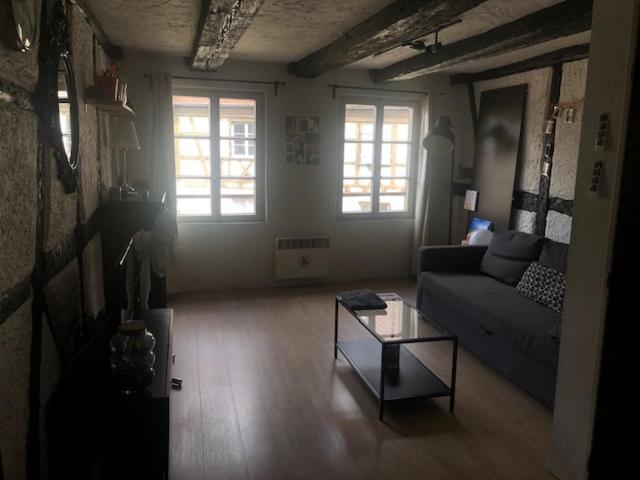 Le Secret Des Tanneurs Appartement Colmar