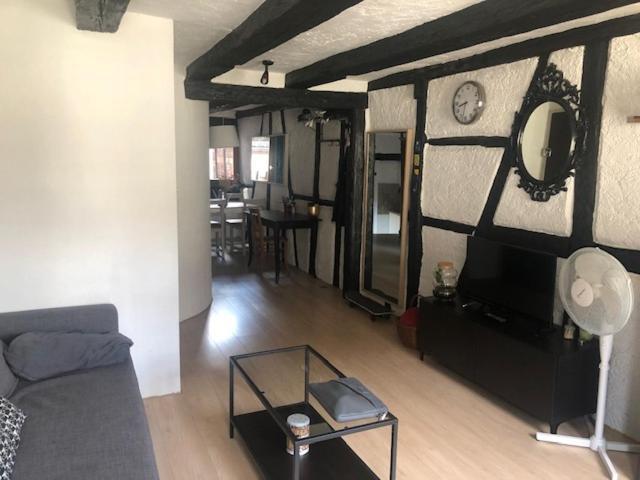 Le Secret Des Tanneurs Appartement Colmar